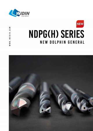 NDPGH 메인페이지 미리보기